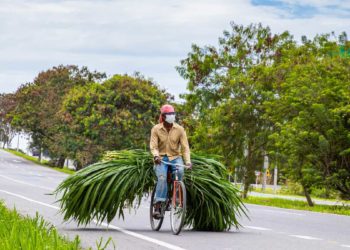 La Ceja y Palmira, dos municipios bicicleteros que buscan contribuir a la movilidad sostenible en Colombia
