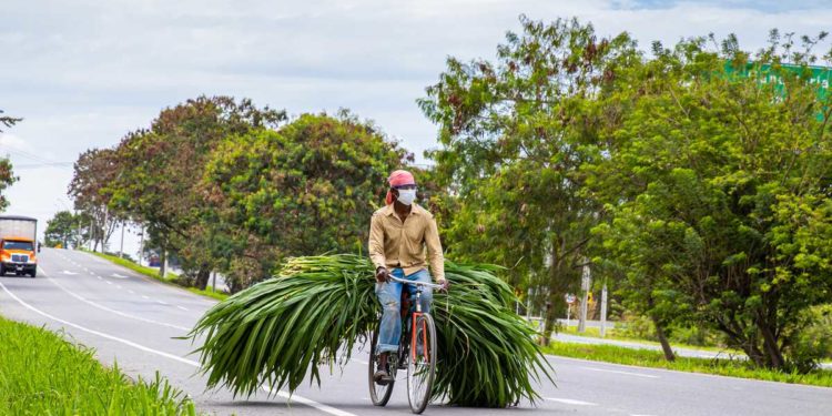 La Ceja y Palmira, dos municipios bicicleteros que buscan contribuir a la movilidad sostenible en Colombia