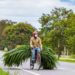 La Ceja y Palmira, dos municipios bicicleteros que buscan contribuir a la movilidad sostenible en Colombia
